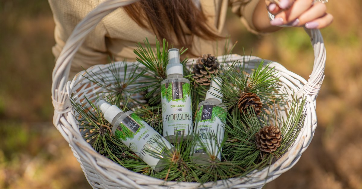 Acículas de pino silvestre Pinus sylvestris y Agua de Pino Blanco Orgánico Hydrolina