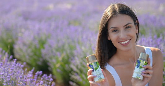 Lavanda Lavandula angustifolia y Hydrobiotic Lavanda y Menta en el campo de lavanda