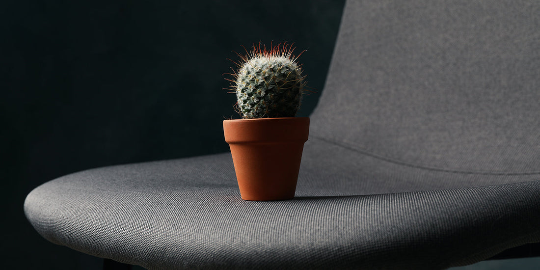 Hemorroides - todo lo que necesitas saber | InaEssentials
