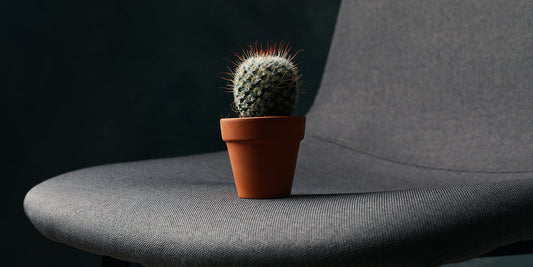 Hemorroides - todo lo que necesitas saber | InaEssentials