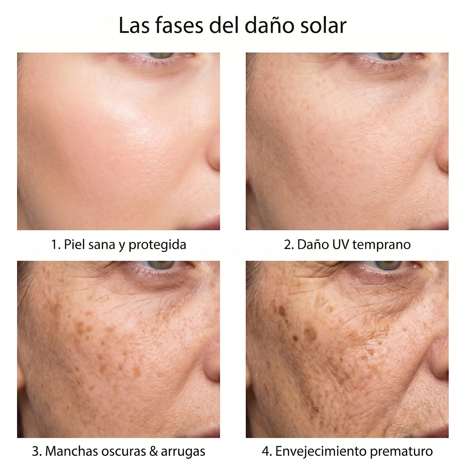 spf ES infographic